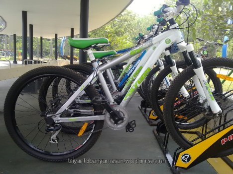 narziez abiez.1638.jpg