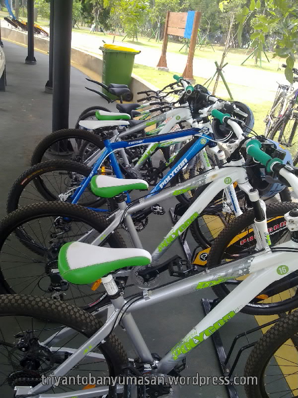 narziez abiez.1639.jpg