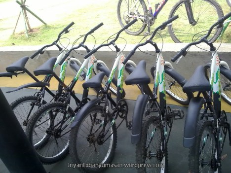 narziez abiez.1640.jpg