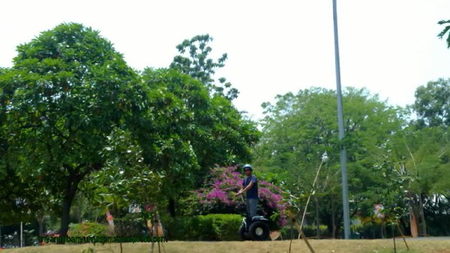 narziez abiez.1845.jpg