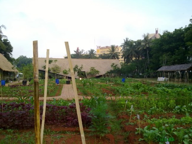 narziez abiez.1922.jpg