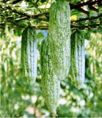 manfaatpare.jpeg image