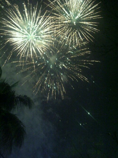 kembang api ecopark.jpg image