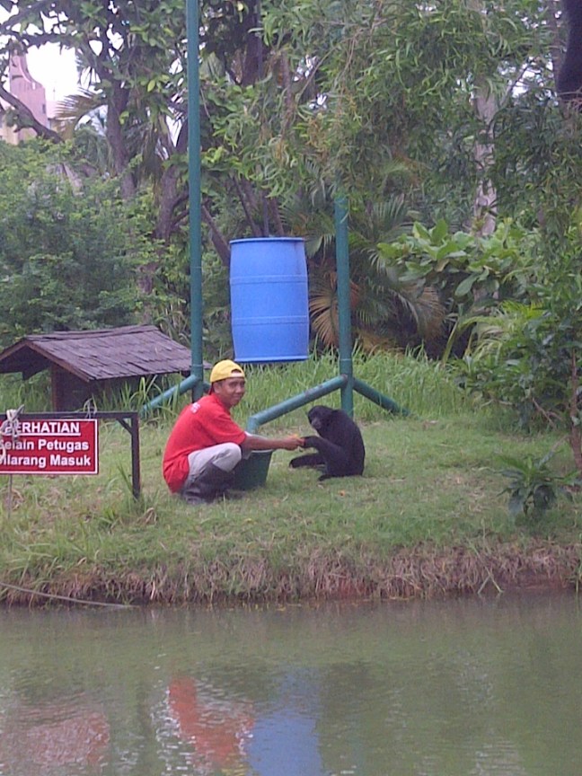 si amang ecopark ancol