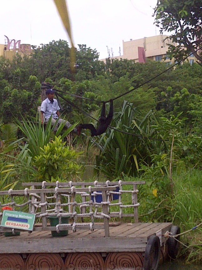 si amang ecopark ancol2