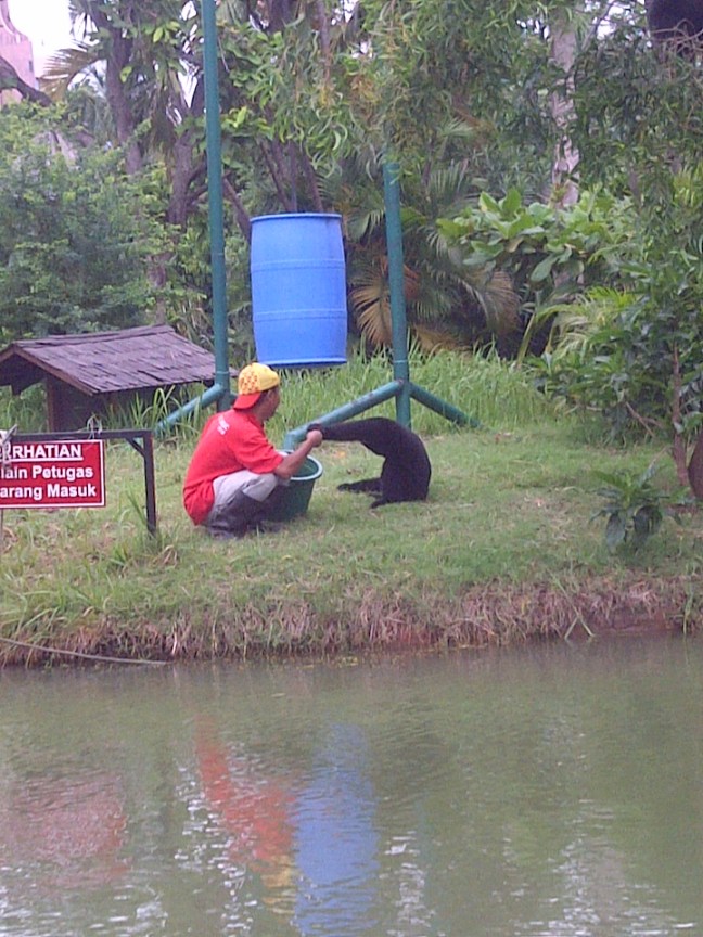 si amang ecopark3