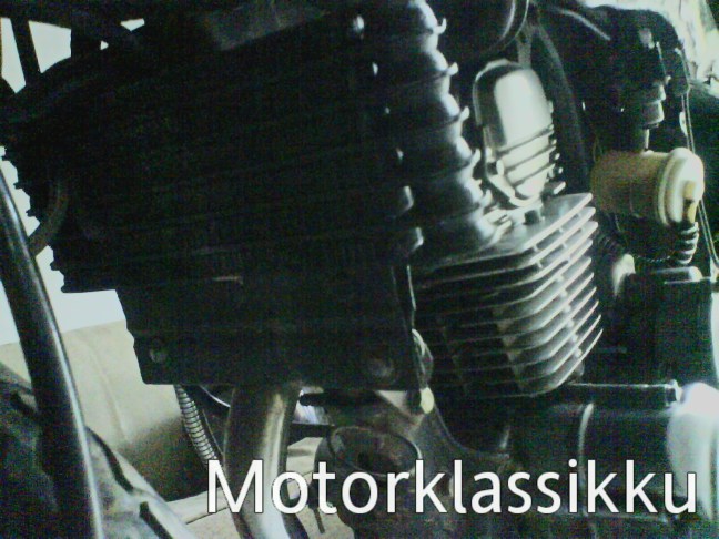 Oil cooler Honda Tiger Kang Arie Sesat