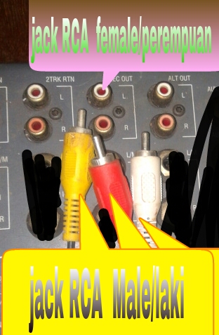 jack RCA male dan female.jpg image