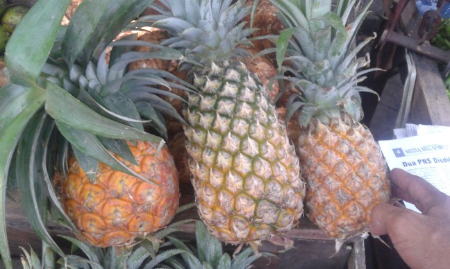 Nanas Madu dan 2 ukuran nanas medan