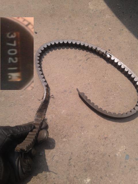 vanbelt hayate rantas