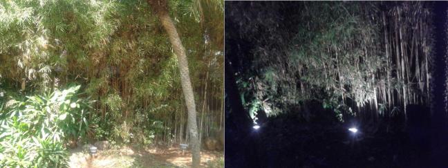 outdorr LED buat taman