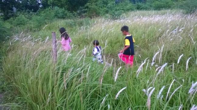 anak-ilalang-bocah-petualang