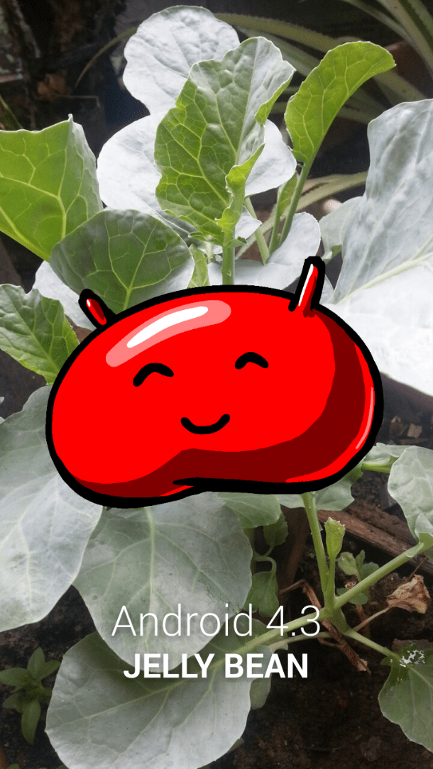 Upgeade-android-jelly-bean.png image