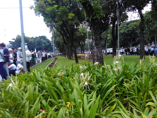 Aksi damai hindari injak rumput